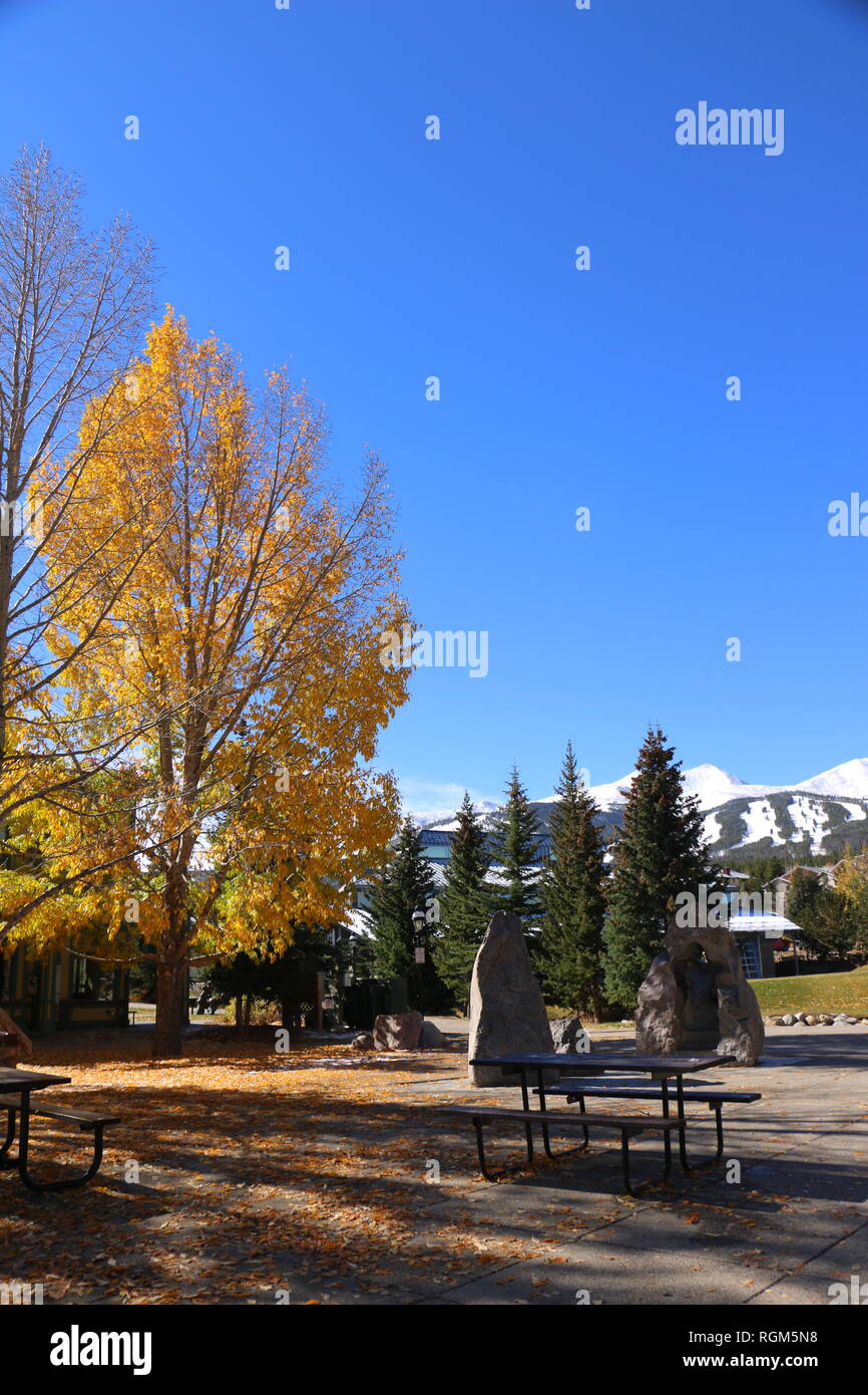 Picnic in caduta che si trasforma in inverno Foto Stock