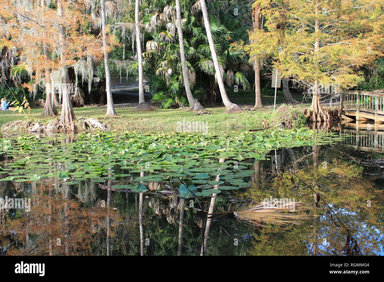 Technicolor garden Foto Stock