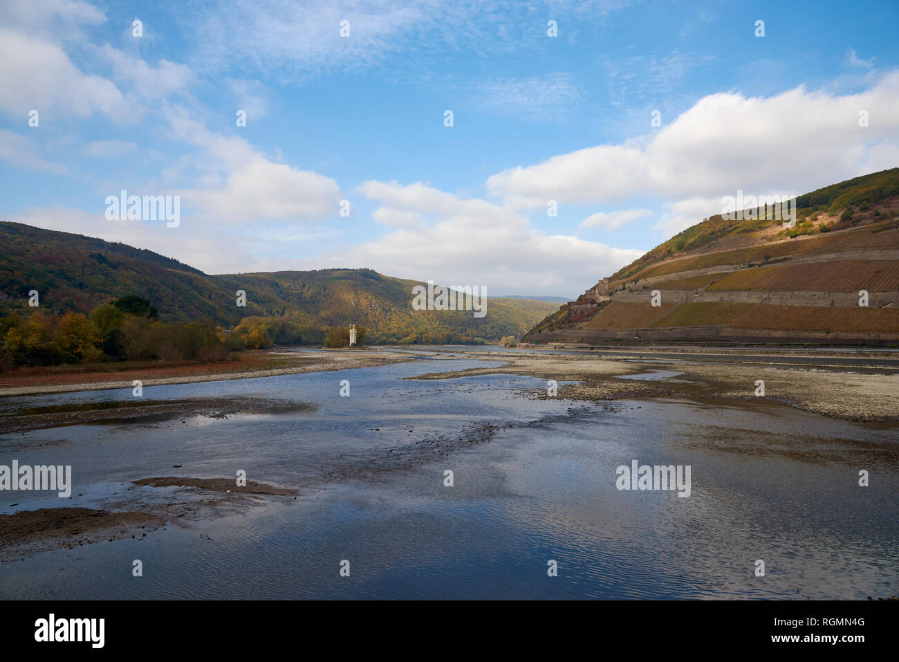 In Germania, in Renania Palatinato, Bingen, Reno, bassa marea vicino Nahe bocca, Torre del mouse e Rheinfels Foto Stock