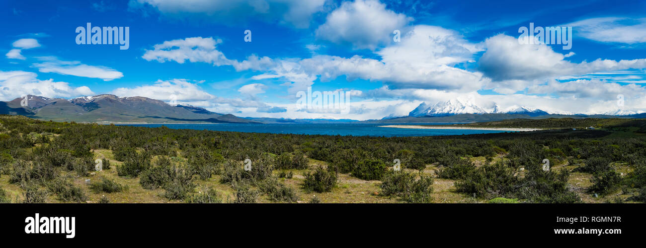 Il Cile, Patagonia, Magallanes y la Antartica Chilena Regione Parco Nazionale Torres del Paine, Cuernos del Paine, lago del Toro Foto Stock