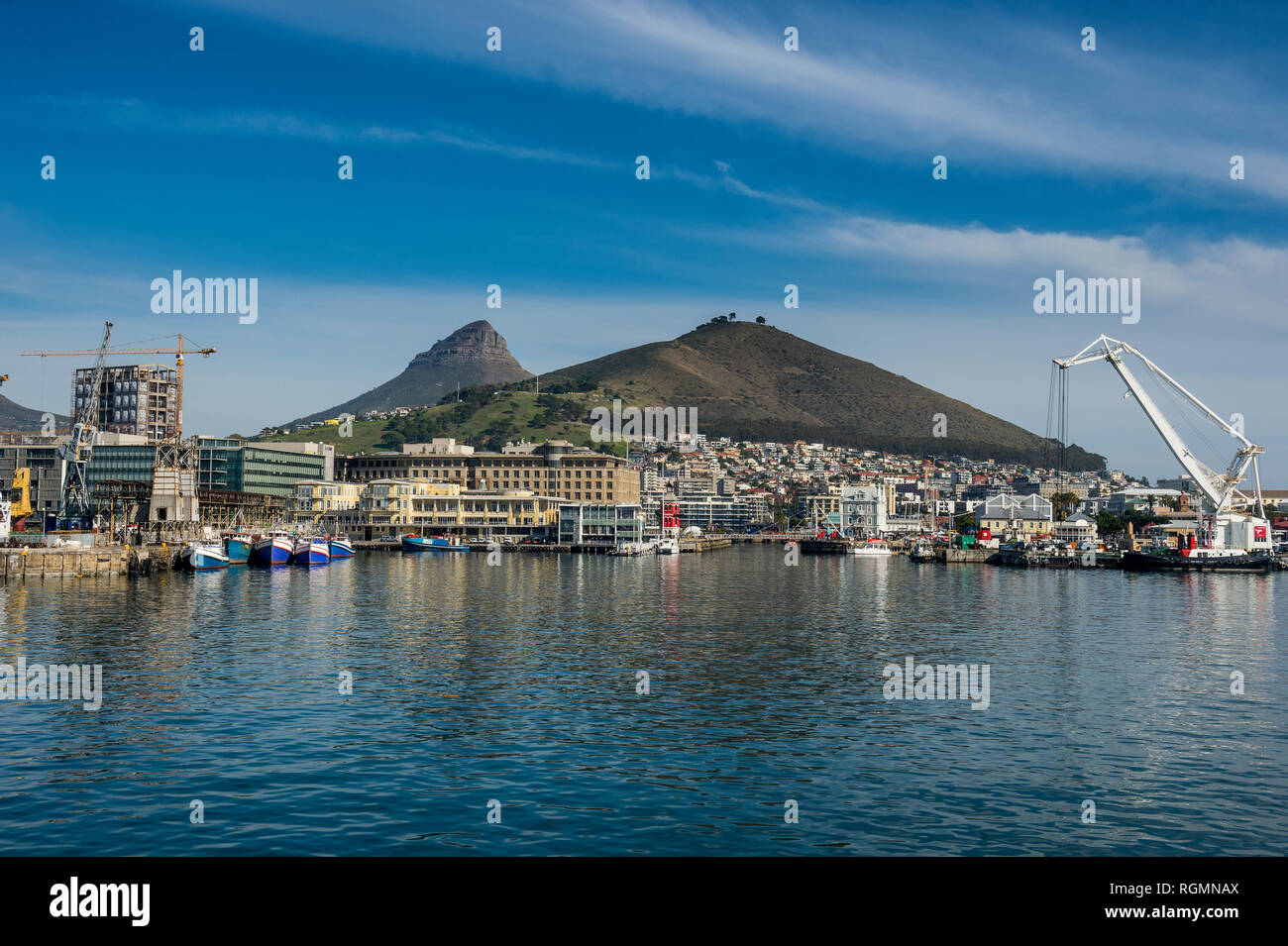 Sud Africa, Cape Town, vista città con testa di leone Foto Stock