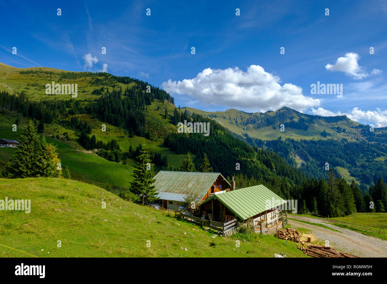Austria, Tirolo, Juifen, Baier alpeggio a modo di Rotwand pascoli di montagna Foto Stock