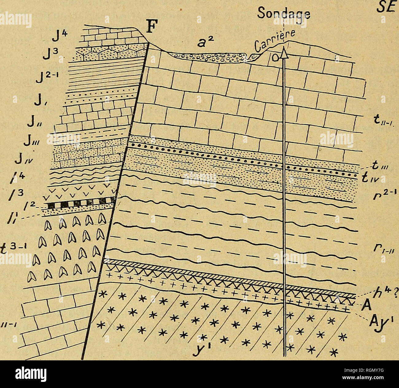 . Bulletin de la SociÃ©tÃ© gÃ©ologique de France. La geologia. 230 E. FOURNIER du Wellenkalk, que l'on n'avait pas rencontrÃ©es jusqu ici dans le Muschelkalk de Franche-ComtÃ© et qui ont Ã©tÃ©, par contre, traversÃ©es bien qu'avec une Ã©paisseur moindre, dans'le figlio- dag-e de Buix, prÃ¨Porrentruj s. La prÃ©scene de sel dans le Muschelkalk est assez intÃ©ressante, auto su en un trouvÃ© aussi dans le sondag-e de Buix et mÃªme dans un sondage, entrepris il y a quelques annÃ©es, prÃ¨s d'HÃ©ricourt.. nel-l FiG. 1. Â Coupe schÃ©matique essere la zone des Avant-Monts du Jura, AU yoisiNAGE DE Chazelot. Â 1/1200 Foto Stock