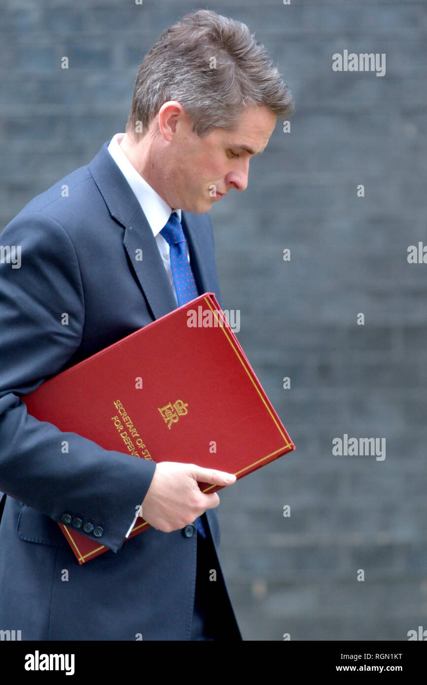 Gavin Williamson MP, Segretario di Stato per la difesa, lasciando una riunione del gabinetto di discus Brexit, Downing Street 29 Gen 2019 Foto Stock