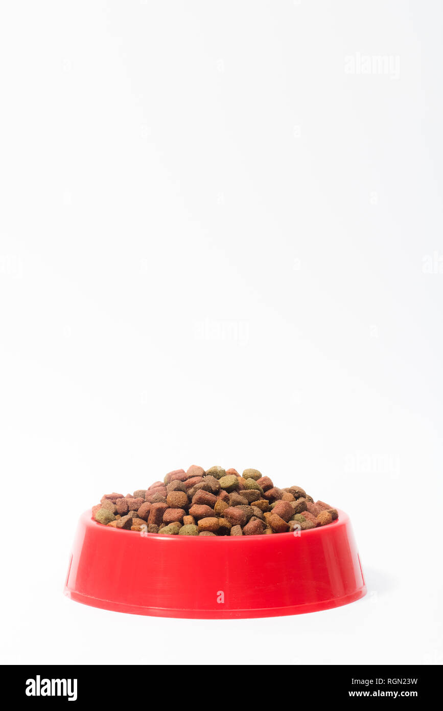 Recipiente rosso secco con mangime per gatti o cani su sfondo bianco con spazio per il testo Foto Stock