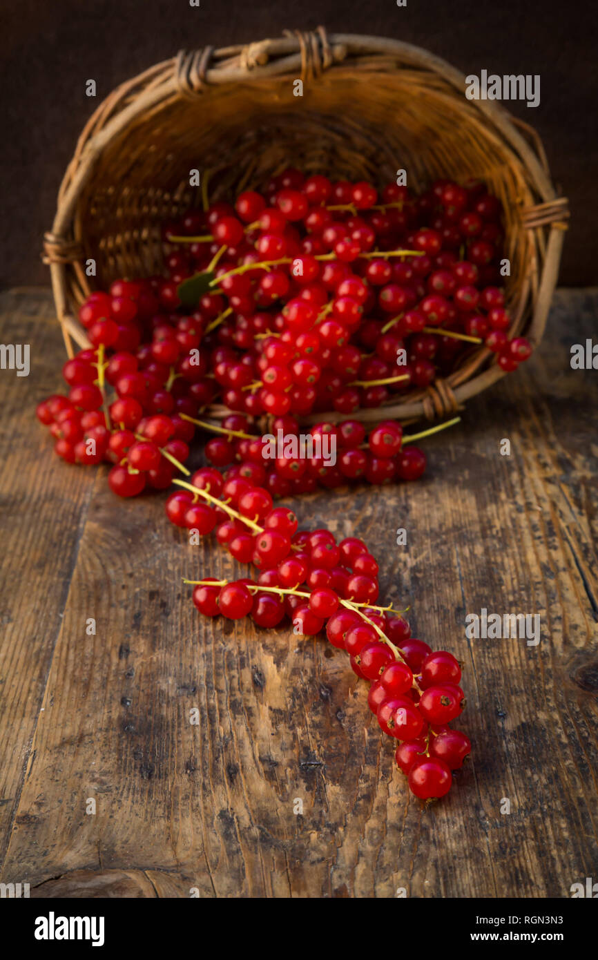 Ribes rosso in cesto su legno Foto Stock