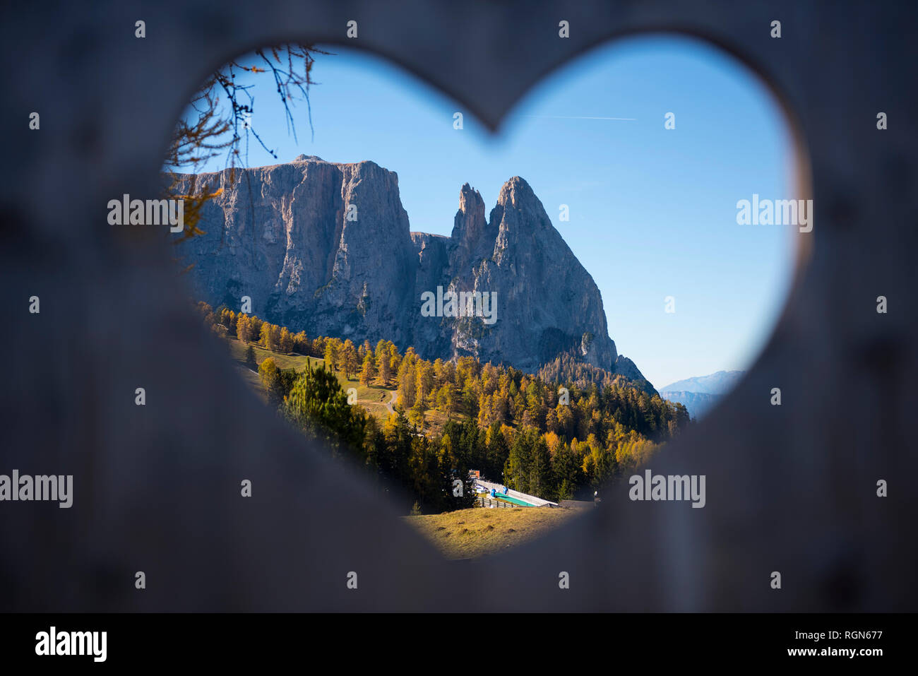 L'Italia, Trentino, Alpe di Siusi allo Sciliar in autunno incorniciato in un tino Foto Stock