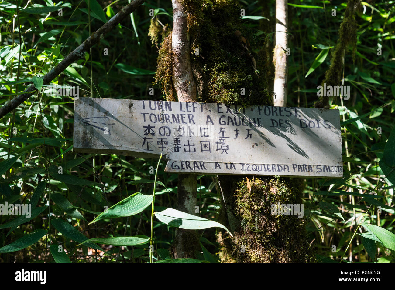 Scritte a mano i segnavia in più lingue nella foresta tropicale del Costa Rica, America centrale. Foto Stock