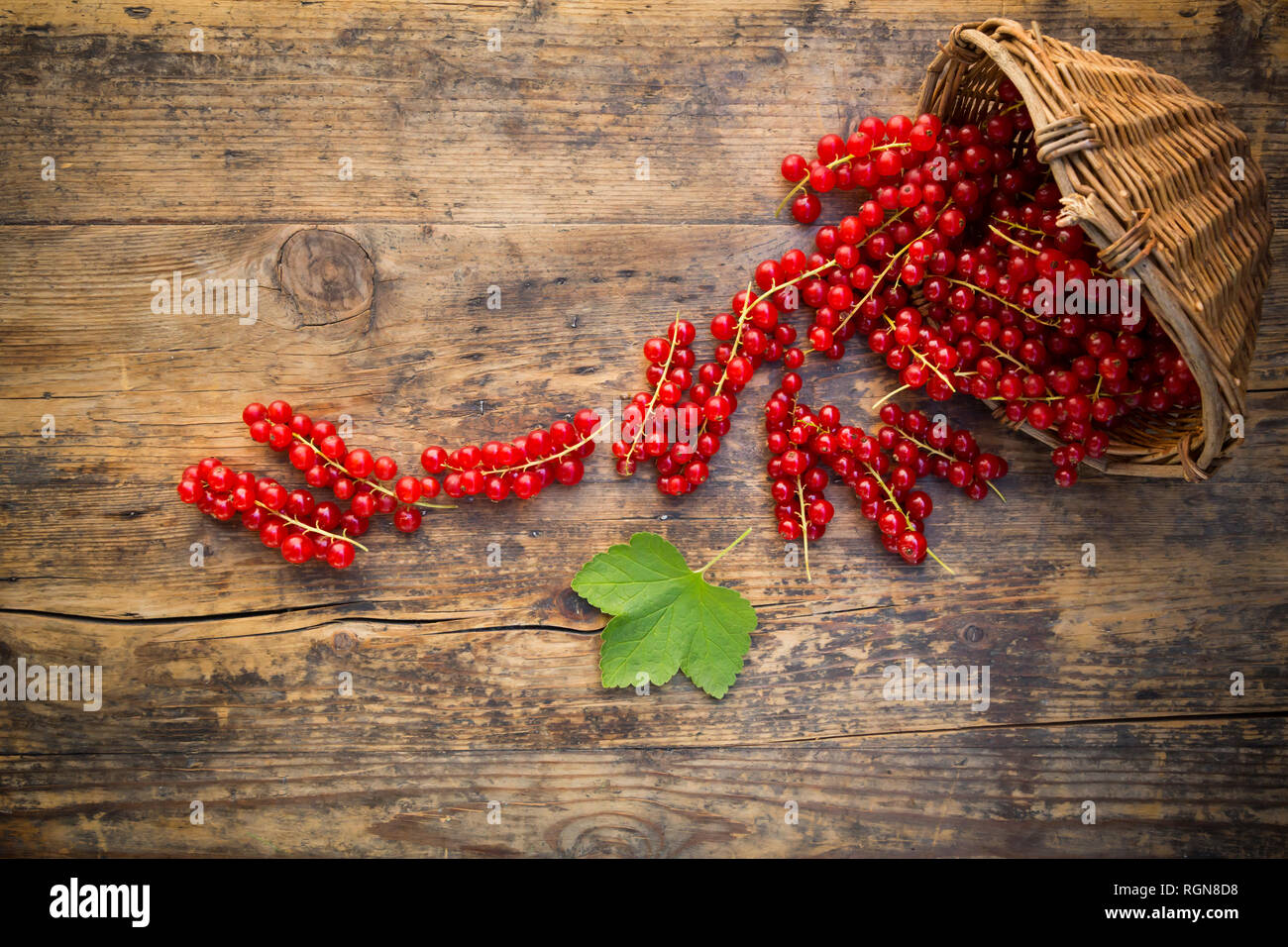 Ribes rosso in cesto su legno Foto Stock