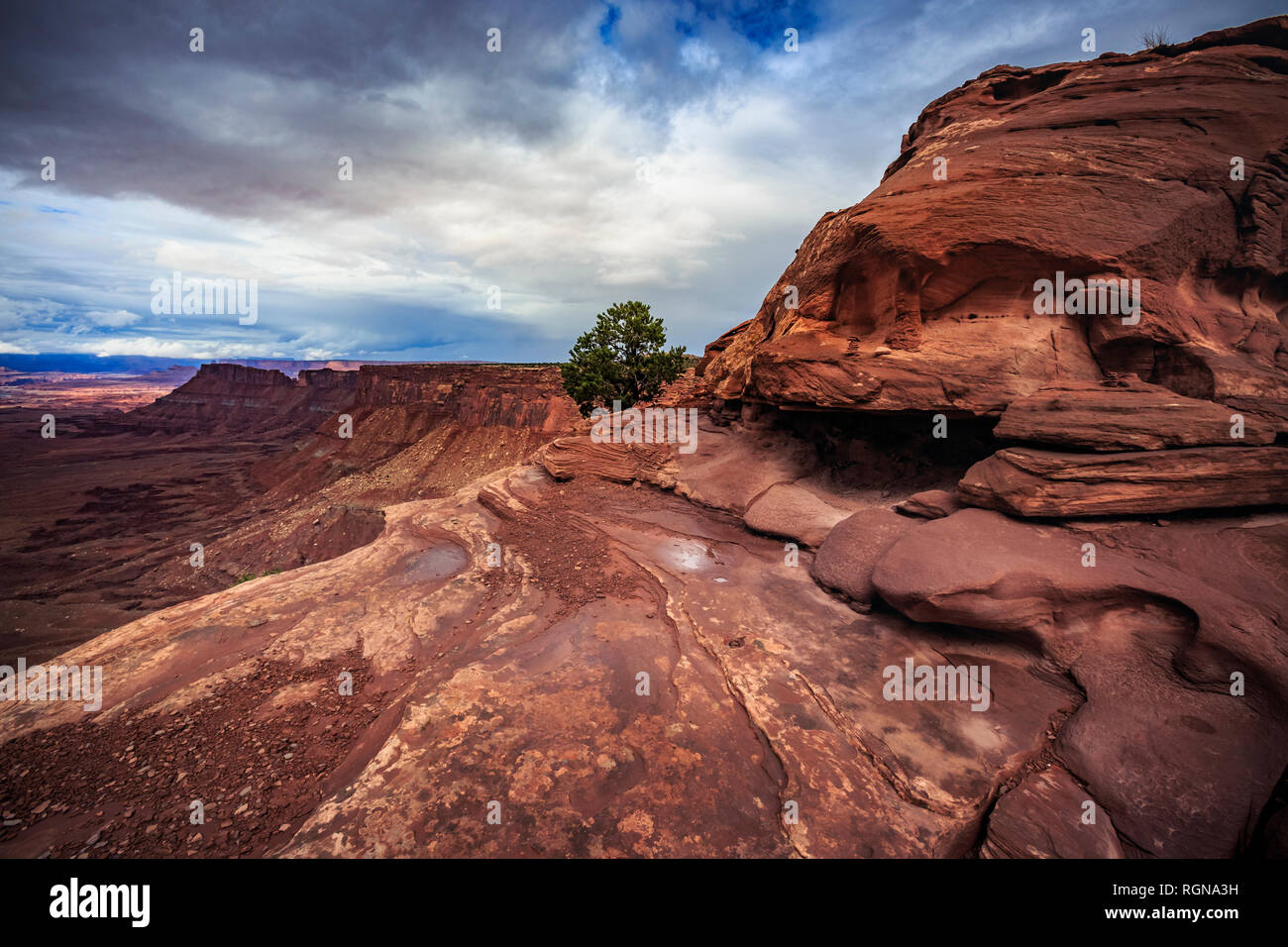 Stati Uniti d'America, Utah, il Parco Nazionale di Canyonlands, aghi, vista Foto Stock