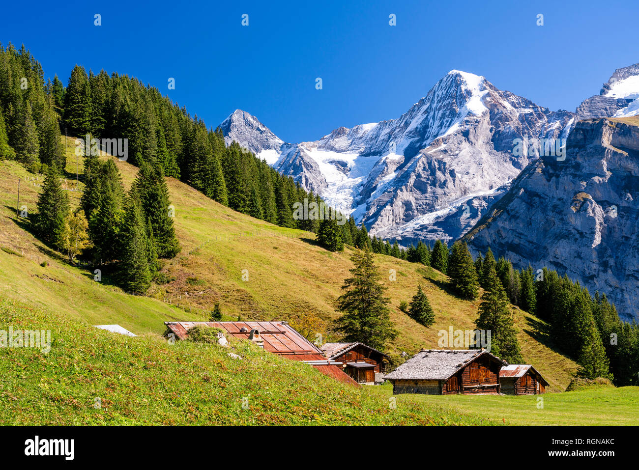 La Svizzera, Oberland bernese, Birg, Blumental vicino Muerren Foto Stock
