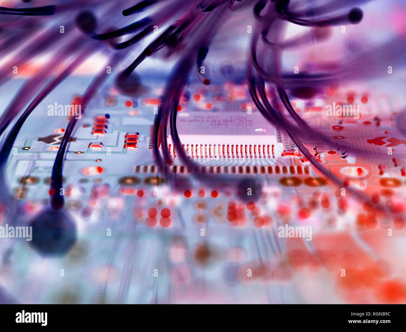 Le fibre ottiche che attacca le schede dei circuiti elettronici con un virus Foto Stock