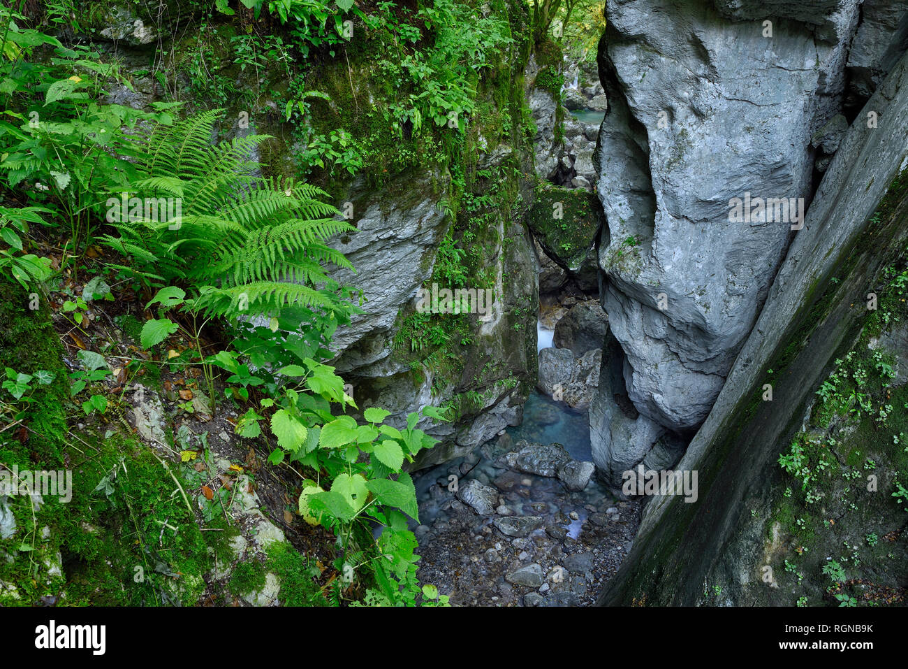 La Slovenia, Tolmin, il Parco Nazionale del Triglav, Tolmin gole, Appoggia testa Rock Foto Stock