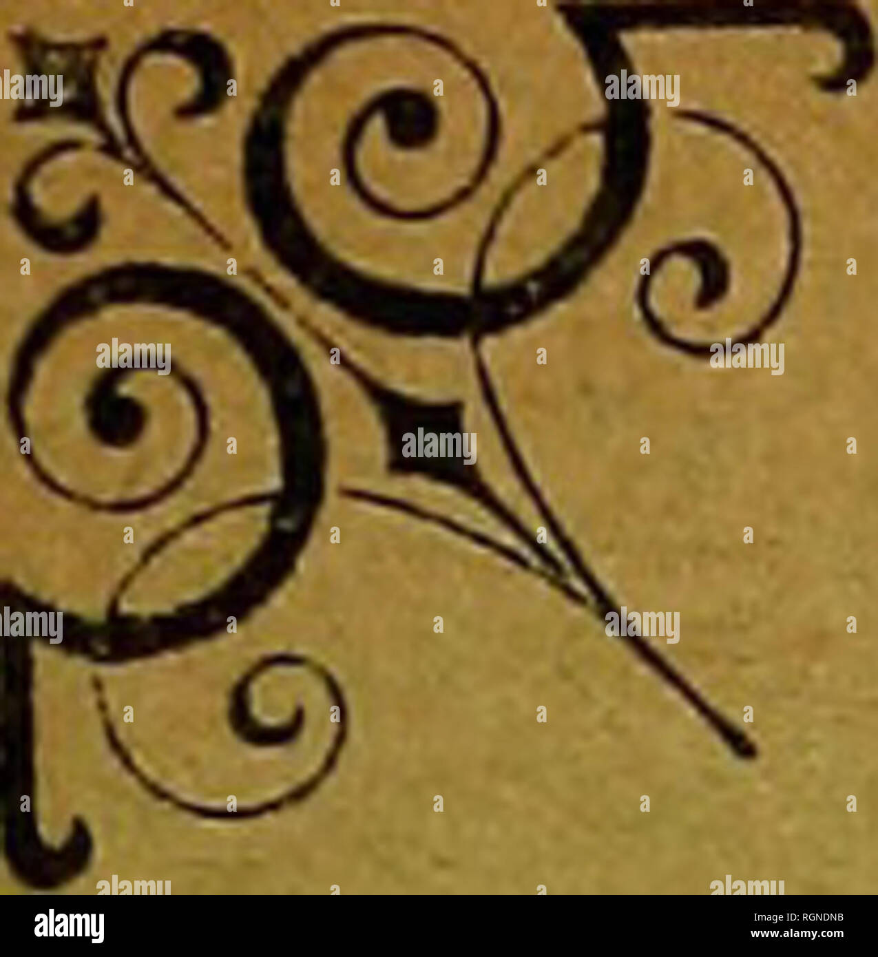 . Bulletin de la Société géologique de France. Geologia. y-. .'S BULLETIN DE LA SOCIÉTÉ GÉOLOGIQ CJE DE FRANCE CKTTE SOCIÉTÉ, FONDÉE LE'17 mars 1830, A ÉTÉ AUTORISÉE ET RECONNUE COMME ÉTAIÎLISSEMENT d'uTILITÉ PUBLIQUE PAR ORDINANZA DU 3 Avril 1832 QUATRIÈME SÉRIE TOME VINGT-DEUXIÈME 312 pagine ; 156 cifre (la carie, coach, fossiles) dans le texte, 12 planches et carte hors texte 1 ritratto en héliogravure iTb' PARIS SOCIÉTÉ GÉOLOGIQUE DE FRANCE 28, rue Serpente, VI COMPTE DE CHÈQUES POSTAUX N" 173.72 1922 m.- •--. Si prega di notare che queste immagini vengono estratte dalla pagina sottoposta a scansione immagini che m Foto Stock