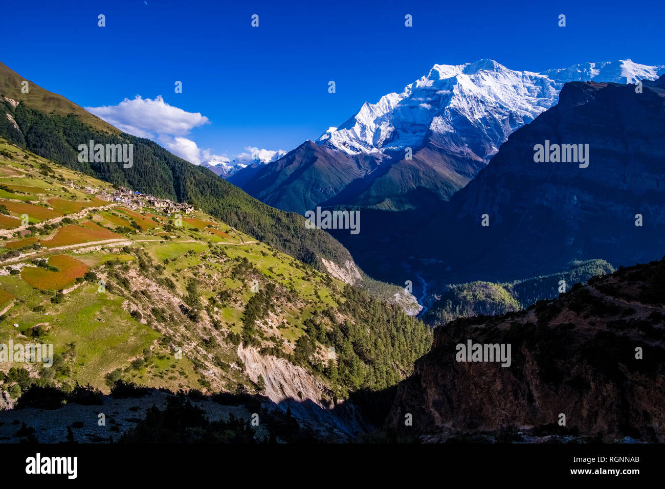 Antenna di panoramica vista sul villaggio e dintorni agricoli con il grano saraceno e campi di orzo, la coperta di neve il vertice di Annapurna 2 Nel dis Foto Stock