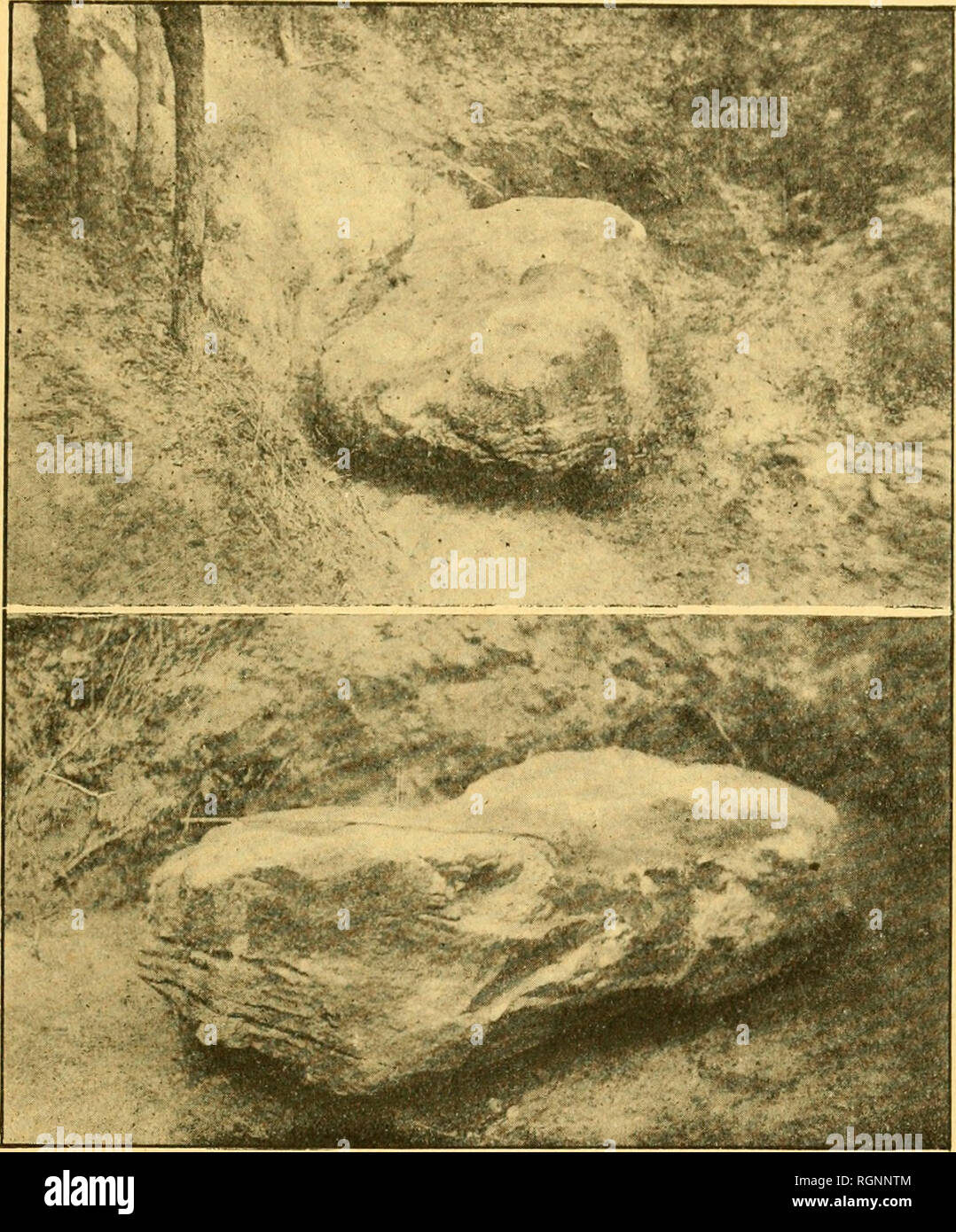 . Bulletin de la SociÃ©tÃ© des Sciences Naturelles de l'Ouest de la France. Storia naturale -- Francia. M. BAUDOUIN. Â DONNKES STRATIGRAPHiQUES 73 3Â° MÃ©galithe, disparu Sous les sables, à La Barre de Moni^^K 4o Le Menhir des Chaumes, Ã notre dame de Riez, dÃ©cou-. J"ig. 4. Â Le Menhir des Chaumes (Sainl-IIilaire de Riez, (VendÃ©e), JADIS Sous les DUNESet aujourd'hui DÃGAGÃ. ÂLe Troii d'Argent. de MÃ©galithes Sous les sables des Dunes, Ã Noirmoutier ; mais il n'a pas soupÃ§onnÃ© leur intÃ©rÃªt spÃ©cial au point de vue oÃ¹ nous nous plaÃ§ons dans ce travail. Â Nous comptons Ã©tudier, it 1 Foto Stock