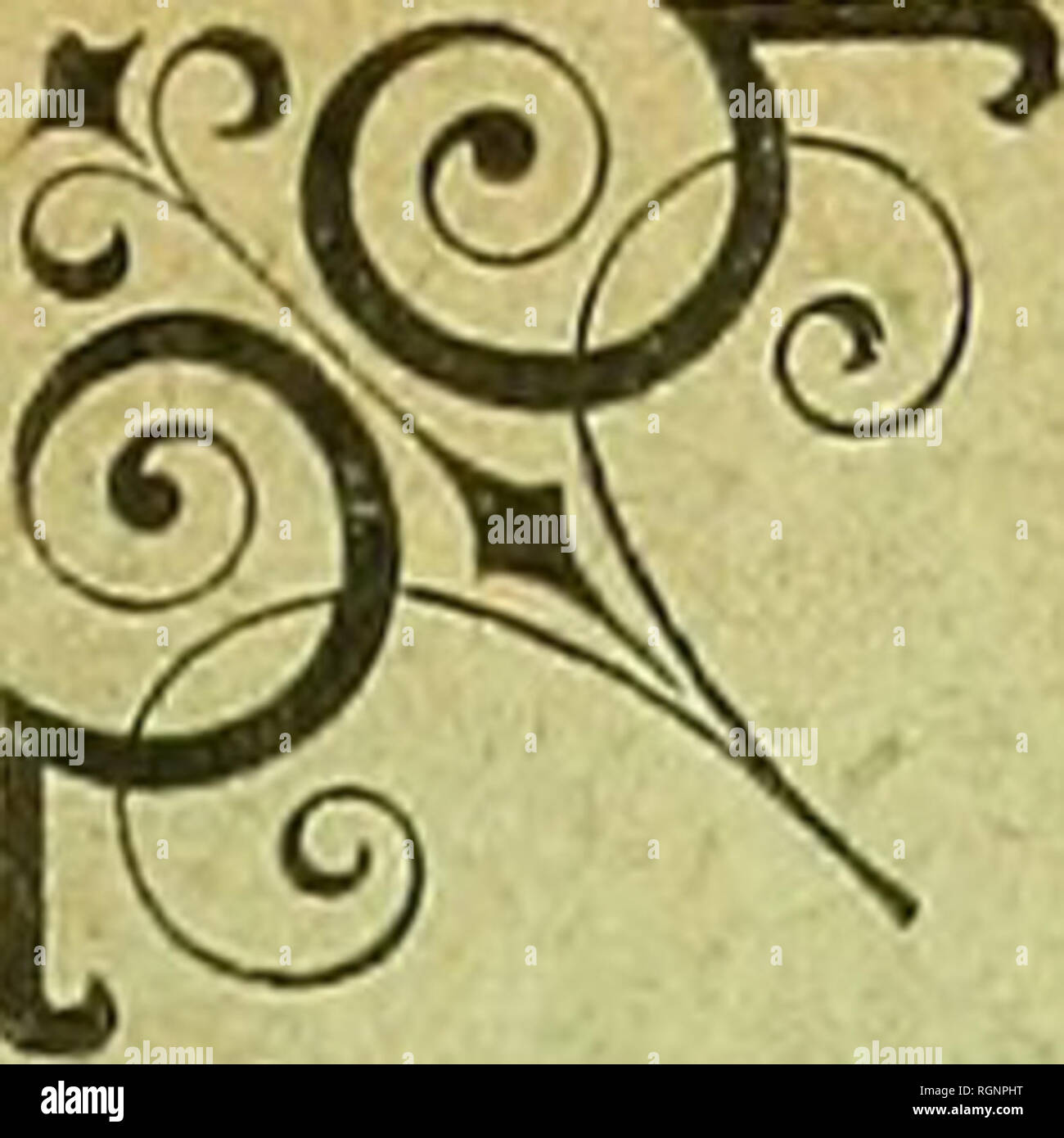 . Bulletin de la Société géologique de France. La geologia. 4" Série, t. XII. - 1912. - N° 5-6. "^ BULLETIN DE LA SOCIÉTÉ GEOLOGIQUE DE FRANCE CETTE SOCIÉTÉ, FONDEE LE 17 mars 1830 A Été autorisée et reconnue comme établissement d'utilité publique PAR ordinanza du 3 Avril 1832 QUATRIÈME SÉRIE TOME DOUZIEME Fascicule 5-6 : Feuilles 15-24. - Planches VIII-XIV, PARIS SOCIÉTÉ GÉOLOGIQUE DE FRANCE 28, rue serpente, "VI 1912 Pubblicazione mensuelle décembre 1912. Si prega di notare che queste immagini vengono estratte dalla pagina sottoposta a scansione di immagini che possono essere state migliorate digitalmente per la leggibilità - la colorazione di un Foto Stock