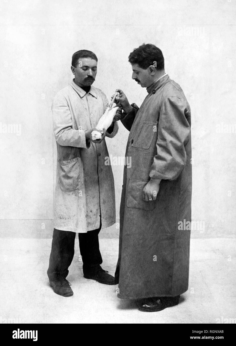 La scienza, la vivisezione 1911 Foto Stock
