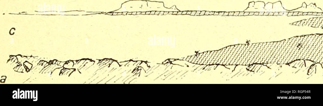 . Bulletin de la SociÃ©tÃ© gÃ©ologique de France. La geologia. 1910 GÃOLOGIE DU SOUDAN 321 L'exploitation pour ma la Fabrication des bracciali de bras (abedj) portÃ©s par tous les dei Tuareg et beaucoup de peujalades noires, aussi ne cherche-t-su à extraire que de petits morceaux de marbre. Un Hombori oÃ¹ les bracciali sont fabriquÃ©s, ils valent en moyenne 50 centesimi et l'en fait environ 1500 par un. Le Gourma conservare des caractÃ¨res analoghi vers le Sud jus- qu'Ã Dori et peut-Ãªtre jusqu'à l'Atacora ; il y a lieu toutefois de remarquer que le mÃ©tamorphisme est plus accentuÃ© vers le Sud c Foto Stock