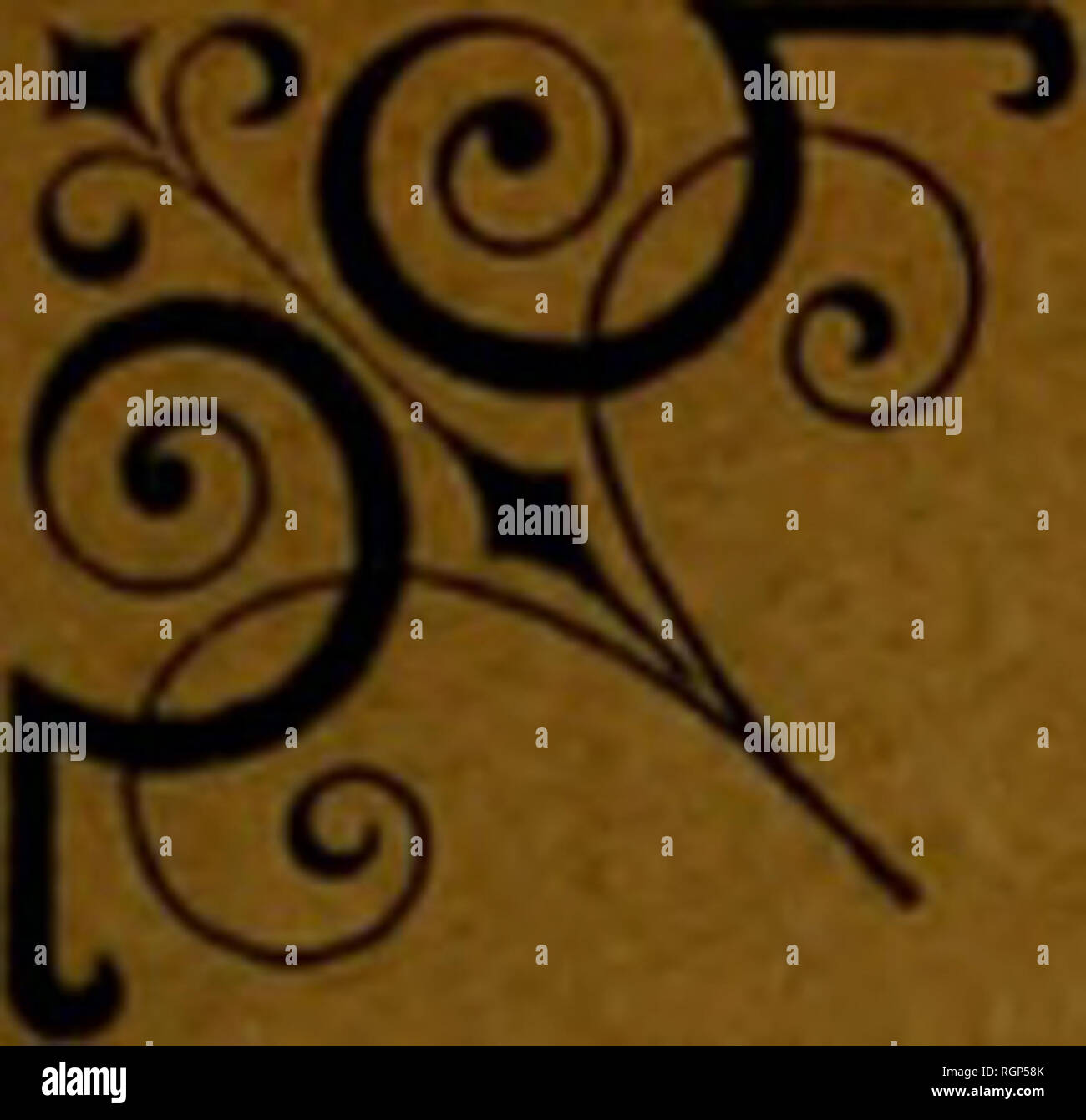 . Bulletin de la Société géologique de France. La geologia. 4" Série, t. XVII. - 1917. - N° 8-9 et dernier. Bollettino SOCIÉTÉ GÉOLOGIQUE DE FRANCE CKTTE SOCIÉTÉ, FONDEE iE 17 mars 1830 A ÉTÉ AUTORISÉE ET RECONNUE COMME ÉTABLISSEMENT d'uTILITB PUBLIQUE PAR ORDINANZA DU 3 Avril 1832 QUATRIÈME SÉRIE TOME DIX-SEPTIÈ. Si prega di notare che queste immagini vengono estratte dalla pagina sottoposta a scansione di immagini che possono essere state migliorate digitalmente per la leggibilità - Colorazione e aspetto di queste illustrazioni potrebbero non perfettamente assomigliano al lavoro originale. La Société géologique de France. Parigi : La Société Foto Stock