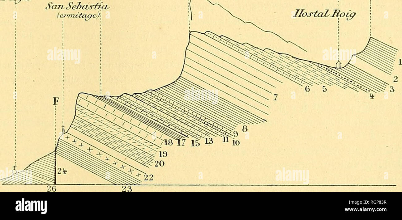 . Bulletin de la SociÃ©tÃ© gÃ©ologique de France. La geologia. COMPTE-RENDU DES ESCURSIONI DANS LA PROVINCIA DE LÃRIDA 895 Toucan. Plus Ã l'Ouest encore sur la rive droite de la Noguera Pallaresa, ce banc se charge de Radiolites Moroi, Monopleura Moroi, forme dÃ©crites en 1878 (1). Mais cette escursione dans le Garumnien nous prendrait toute la journÃ©e. Les hauteurs qui dominent l'Hostal Roig du cÃ'tÃ© nord sont tertiaires : elles forment la Montagne de San Salvador de TolÃ', oÃ¹ les divani les plus basses sont constituÃ©es par le calcaire Ã AlvÃ©olines reposant sur les marnes garumniennes et co Foto Stock