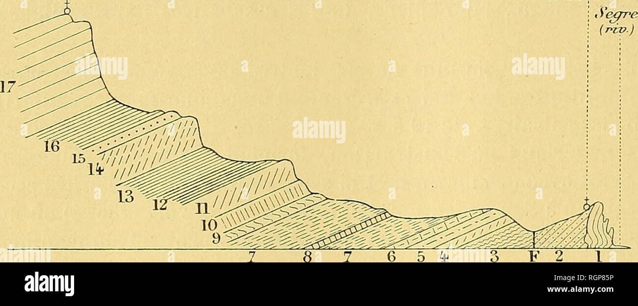 . Bulletin de la SociÃ©tÃ© gÃ©ologique de France. La geologia. 886 L.-M. VIDAL Nous traversons en ordre ascendente les divani indiquÃ©es dans la coupe suivante : im.e:. San, Jordzs s.o. Gxmarasa.. 1 8 7 65* 3 F 2 Fig. 1. Â Coupe de la Montagne de San Jordi. Longueur 3 kilomÃ¨tres ; hauteurs libres. Nummulitique. Â i. Â Calcaire Ã Miliolites, Alveolina elongata. OligocÃ¨ne. Â 2. Â Poudingues, macignos et gypse alternant avec des marnes. Muschelkalk. Â 3. Â Gypse bigarrÃ©. 4. Â compatti Calcaires et feuilletÃ©s concorde avec les gypses et plongeant 40Â" N. 30" E. 5. Â Les calcaires prÃ©cÃ©den Foto Stock