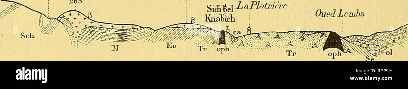 . Bulletin de la SociÃ©tÃ© gÃ©ologique de France. La geologia. 464 L. Gentil 20 juin 3Â° affleurement delle Nazioni Unite qui mÃ©rito encore d'Ãªtre signalÃ© se trouve dans la partie supÃ©rieure de l'Oued Lemba. Il un plus d'onu kilomÃ¨tre d'Ã©tendue. Il est recouvert par le CÃ©nomanien, le SÃ©nonien et le MiocÃ¨ne.[Il est caractÃ©risÃ© par l'abondance des marnes bariolÃ©es qui offrent comme couleur dominante le rouge foncÃ©. N N.E OJÃ®e-ju Rrnane â JBou Jhar .265 S S.O DLN.O SuS.E FeÃ¯del Ateuch Knabteh: OuedLemba. Fig. 3. Â Coupe de la' PlÃ¢triÃ¨re de la Tafna. Â Echelle du 1/80.000Â°. Sch, Schistes etquartzites d Foto Stock