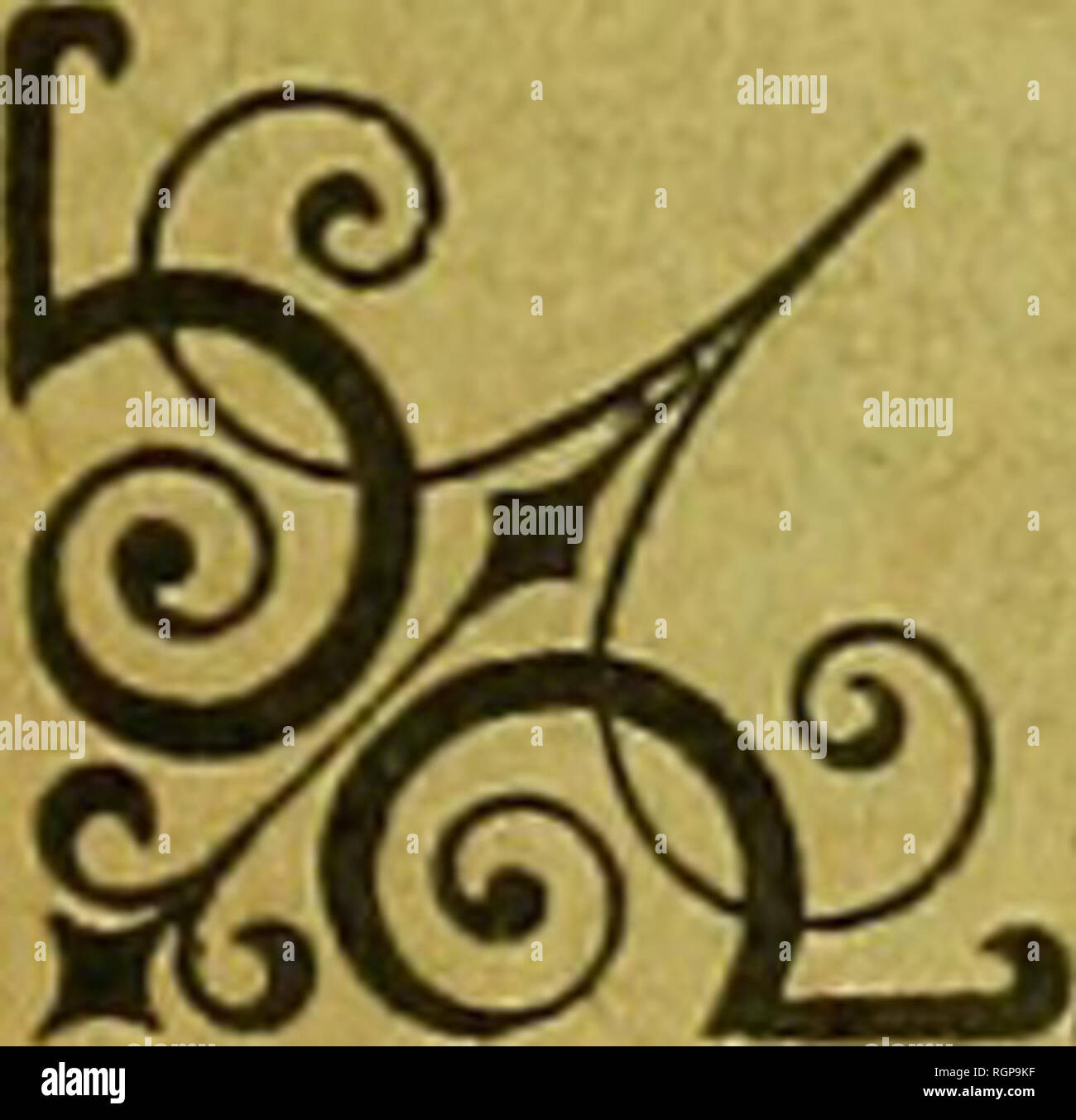 . Bulletin de la SociÃ©tÃ© gÃ©ologique de France. La geologia. 4Â" SÃ©rie t. VI. Â lOOO. 4 ^' ^V AOM ' ?â ; QTON BULLETIN DE LA. r r SOCIETE GEOLOGIQUE DE FRANCE (cette sociÃ©tÃ©, fondÃ©e le 17 mars 1830, UN ÃTÃ AUTORISÃE ET RECONNUE COMME ÃTABLISSEMENT d'uTILITÃ PUBLIQUE, PAR ORDINANZA DU ROI DU 3 Avril 1832) QUATRIEME SÃRIE TOME SIXIÃME Fascicule 6 : Feuilles 23-3o. Â Planches X-XI. Liste des Dons : d. Parigi AU SIÃGE DE LA SOCIÃTÃ GÃOLOGIQUE DE FRANGE 38, rue Serpente, VI 1906 Pubblicazione mensuelle. Janvier 1907.. Si prega di notare che queste immagini vengono estratte dalla pagina sottoposta a scansione le immagini che potrebbero hav Foto Stock