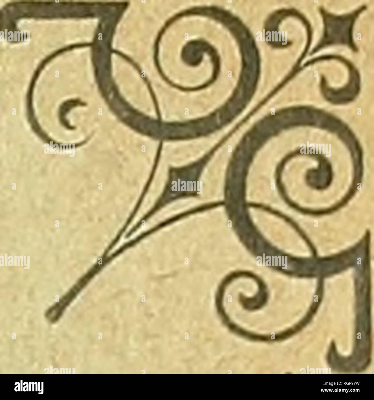 . Bulletin de la Société géologique de France. La geologia. ! CfliritTV wm . LSUCIbiJ WA TON. 4e Série, t. II. - ÎOOS. - IV0 3. Bollettino. DE LA SOCIÉTÉ GÉOLOGIQUE DE FRANCE (CETTE SOCIÉTÉ, FONDÉE LE 17 mars 1830, A ÉTÉ AUTORISÉE ET RECONNUE COMME ÉTABLISSEMENT D'UTILITÉ PUBLIQUE, PAR ORDINANZA DU ROI DU 3 Avril 1832) QUATRIÈME SÉRIE TOME DEUXIÈME Fascicule i : Feuilles 4-i4- - Planches I-V. Parigi AU SIÈGE DE LA SOCIÉTÉ GÉOLOGIQUE DE FRANGE 38, rue Serpente, VI 1902 Le Bulletin paraît par livraisons mensuelles août 1902. Si prega di notare che queste immagini vengono estratte dalla pagina sottoposta a scansione immagini che ma Foto Stock