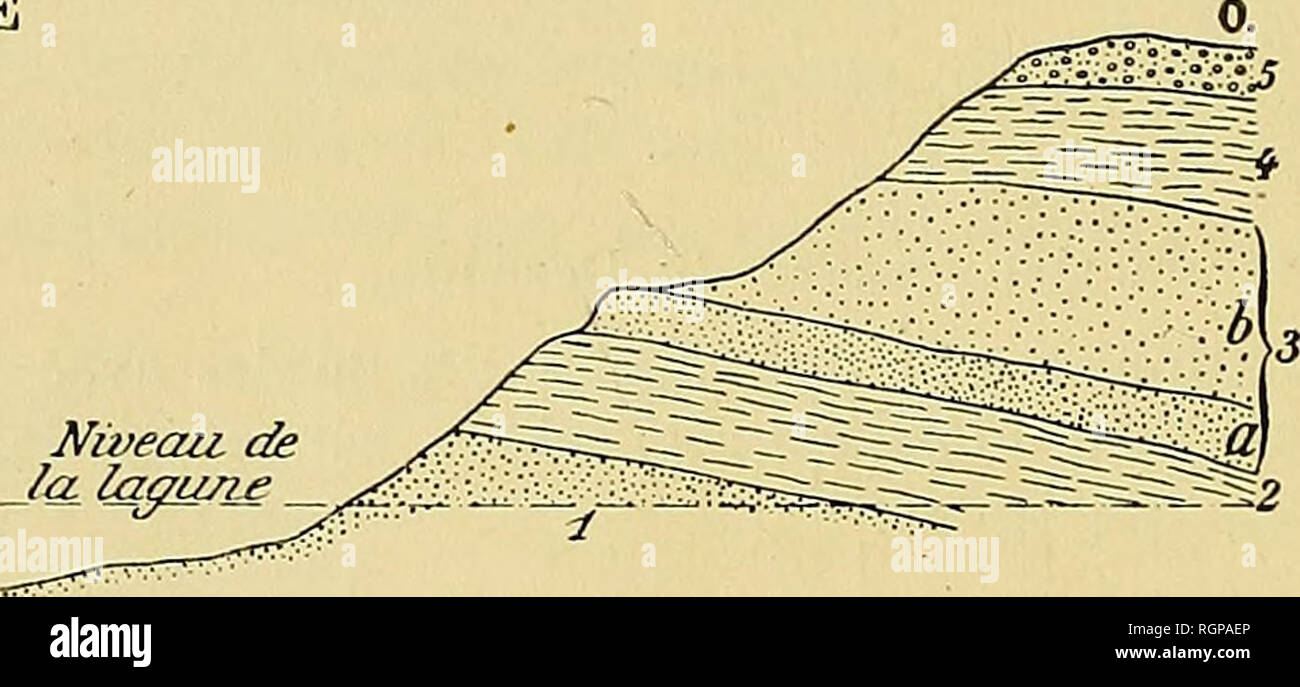 . Bulletin de la SociÃ©tÃ© gÃ©ologique de France. La geologia. 470 A. TOURNOUER. Â NOTA SLR LA GEOLOGICHE 22 juin au-dessus, su trouve une argile jaune, avec vertÃ¨bres de CÃ©tacÃ©s, recouverte par une argile blanchÃ¢tre oÃ¹ j'ai recueilli des os de Pingouins. Florida Negra. 1Â° GrÃ¨s argileux vert, friabile, sans fossiles. Cette couche me paraÃ®t Ãªtre supÃ©rieure Ã la couche Ã Pjyrotherium, auto Ã une quin- zaine de kilomÃ¨tres de lÃ , j'ai trouvÃ© les divani Ã Pyrotherium en dessous de grÃ¨semblables s. 2Â° Argiles verdÃ tres avec HuÃ®tres et Gastropodes indÃ©termi- nables (i5 m. environ). 3Â° A B Foto Stock