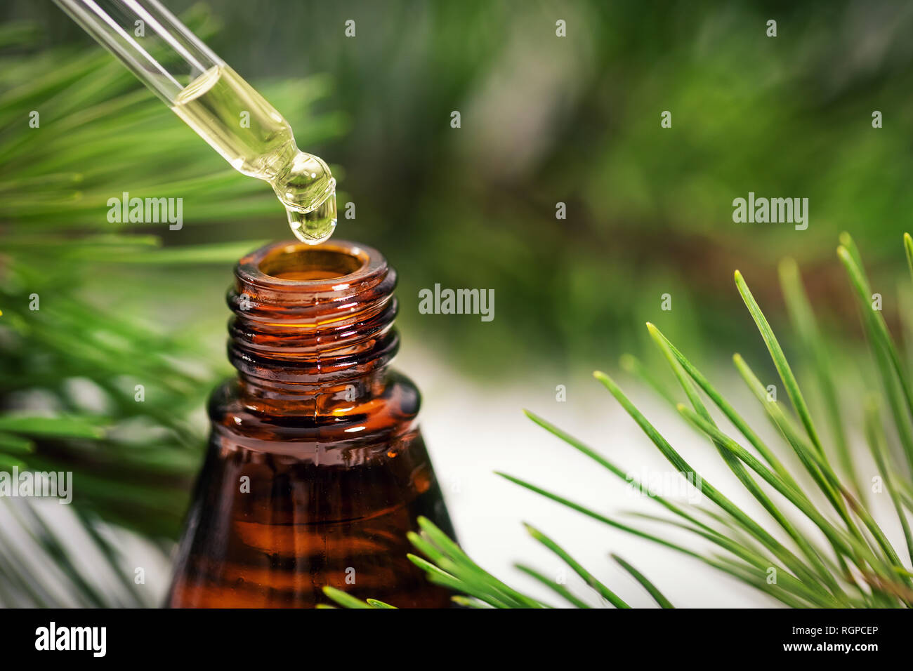 Pino olio essenziale. il gocciolamento di liquido dalla pipetta per bottiglia Foto Stock