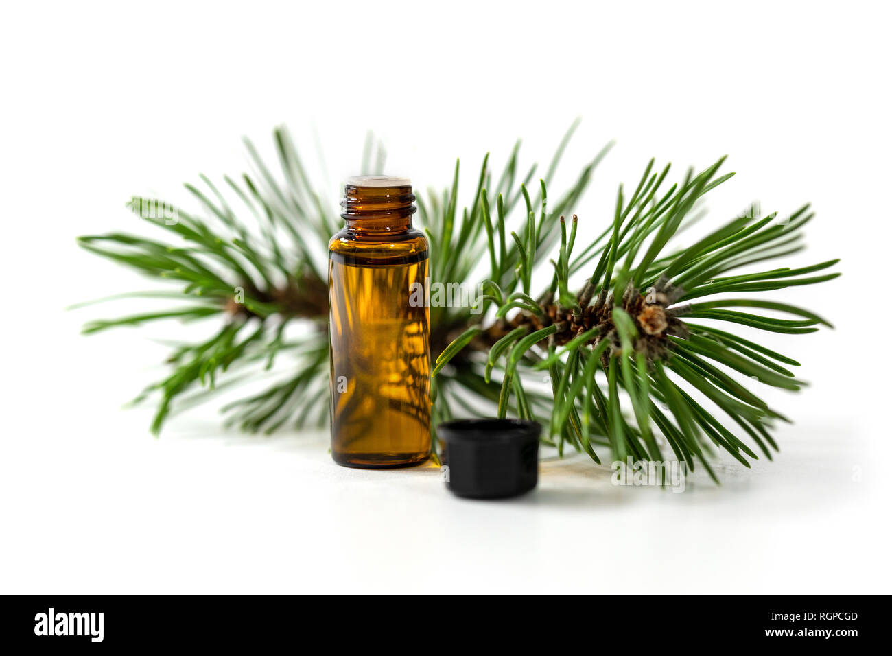 Pino olio essenziale bottiglia e ramo di albero isolato su sfondo bianco Foto Stock