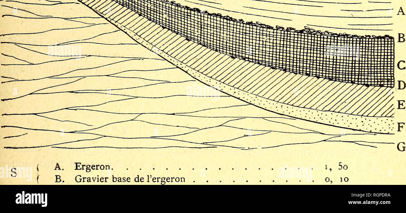 . Bulletin de la SociÃ©tÃ© belge de gÃ©ologie, de palÃ©ontologie et d'hydrologie. Geologia e Paleontologia. QUATERNAIRE DE LA FRANCE ET DE LA BELGIQUE 41 Au bas de cette coupe, M. Max Lohest trouve une hache en amande5 TRÍ¨s bien taillÃ©e sur les deux volti, mais non en place. Cette hache semble devoir provenir du gravier C, base de l'ergeron, le diluvium infÃ©rieur n'Ã©tant pas visibile ici. A l'autre extrÃ©mitÃ© de la mÃªme sfruttamento, nous voyons : Coupe au plateau de Saveuse. A. Limon fendillÃ©. M < B. Limon avec tracce vÃ©gÃ©racconti. / C. Gravier de dÃ©bris de craie roulÃ©s et agglutinÃ©s Foto Stock