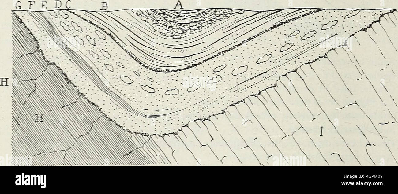 . Bulletin de la Societe Belge de geologiche, de Paleontologie et d'Hydrologie. 198 A. RUTOT. Â COUPES ÃOCÃNES 27 JUIL] Entre les cotes mi85 et 190, Ã 300 mÃ¨tres au Sud delÃ Ferme genitore et Ã proximitÃ© du Chemin de Couillet Ã Acoz, s'Ã©talait une grande et ma- gnifique paroi, masquÃ©e de place en place par des Ã©boulis que les hom- mes d'Ã©quipe eurent bientÃ't fait d'enlever dans les parti essentielles de la Coupe. "Oici une vue montrant Ã la fois l'ensemble et les dÃ©code de la coupe visibile : la fig. 7.. A. Amas de grÃ¨s bruxelliens 4â¢,00 B. Sable bruxellien stratifiÃ© 4Â°^,00 C. Gravier ba Foto Stock