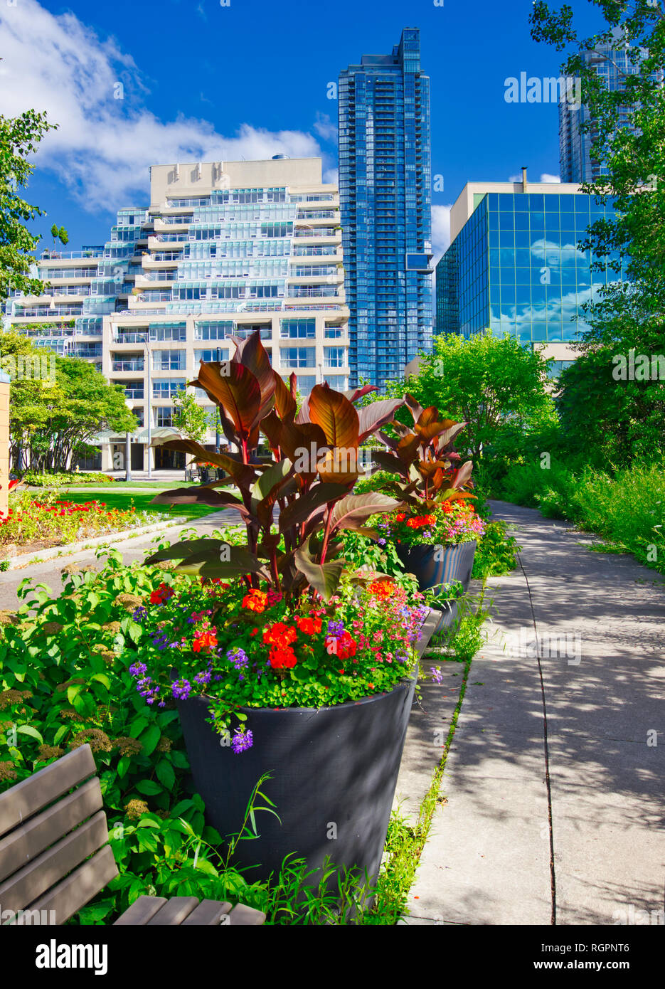 La musica di Toronto giardino, Toronto, Ontario, Canada Foto Stock