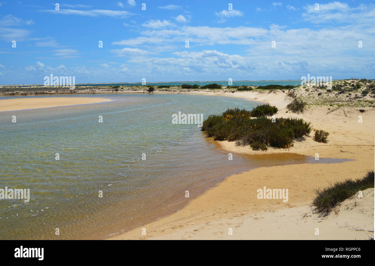 Laguna costiera in Armona island, parte del Parco naturale di Ria Formosa nella regione dell'Algarve del Portogallo sudoccidentale Foto Stock