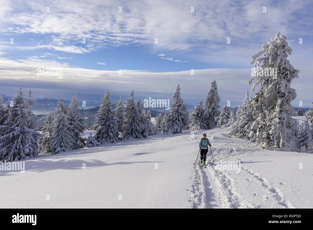 La salita oltre il Blochboden, tour di sci Unterberg, Pernitz, Austria Inferiore, Austria Foto Stock