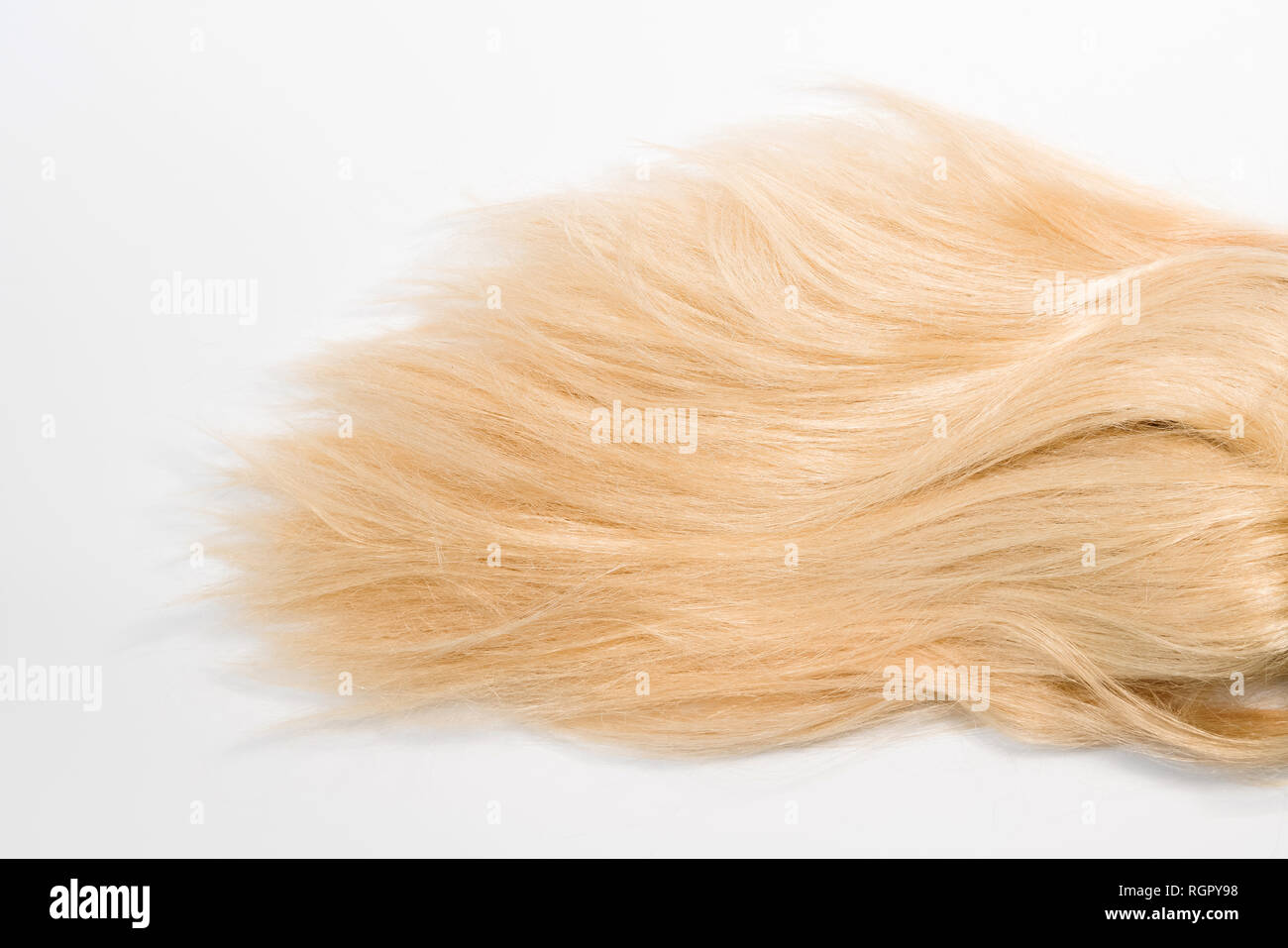 Biondi capelli naturali estensioni isolati su sfondo bianco. Patch di clipping, spazio di copia Foto Stock