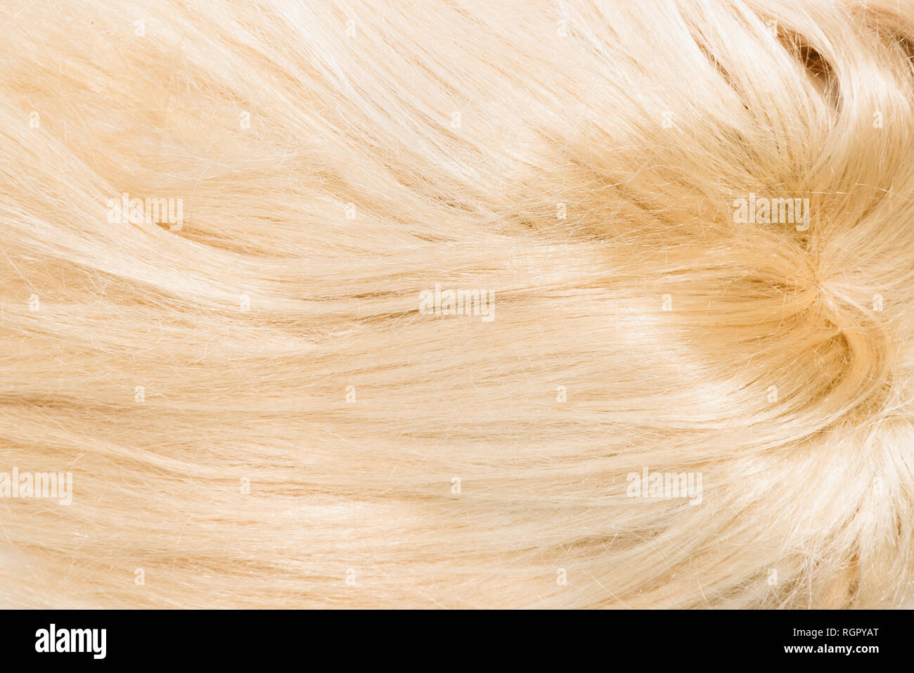 Biondi capelli naturali estensioni isolati su sfondo bianco. Patch di clipping, spazio di copia Foto Stock