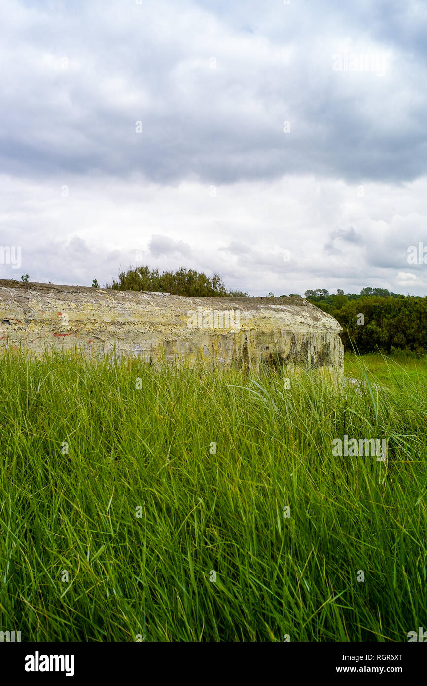 Bunker tedesco, resti di Atlantic Wall, Normandia Francia Foto Stock