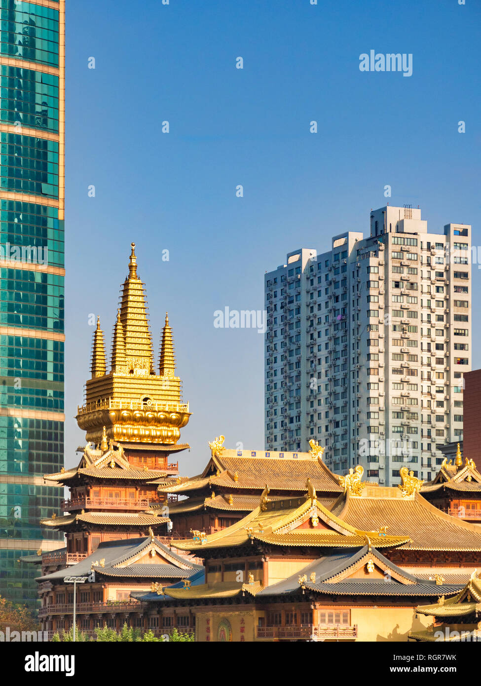 Jing'an tempio buddista in Cina a Shanghai, circondata da alti edifici moderni. Foto Stock