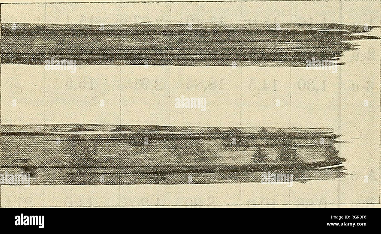 . Bulletin de la Société impériale des naturalistes de Moscou. La scienza, biologia, geologia, storia naturale. - 459 Blättern von Fhormhtm ienax, ? X. mung (Vo) Elastizitäts- grenze in kg/QMM. AFbeitsvermögen des materiali in kg"cm/ccm. 1 Anmerkung. i 1 ei Z gleich: bis zum Eintritt: r 'p ^Max von Zp von Z","^ hnax B E C'p ^max fare )6 )0 ? 30 Ï6 2,46 2,06 2,00 1,80 2,00 1,86 2000 1970 2130 2270 2430 2215 40 42,6 41,5 35,4 31,2 39,1 54,6 42,6 41,5 35,4 44,8 39,1 Brach in den Grenzen der &gt; Messstrecke Z, mit Längs- spaltung. Î8 2,03 2169 38,3 43 Die Probestücke (15-20 mm. breit und ungefähr 250 Foto Stock