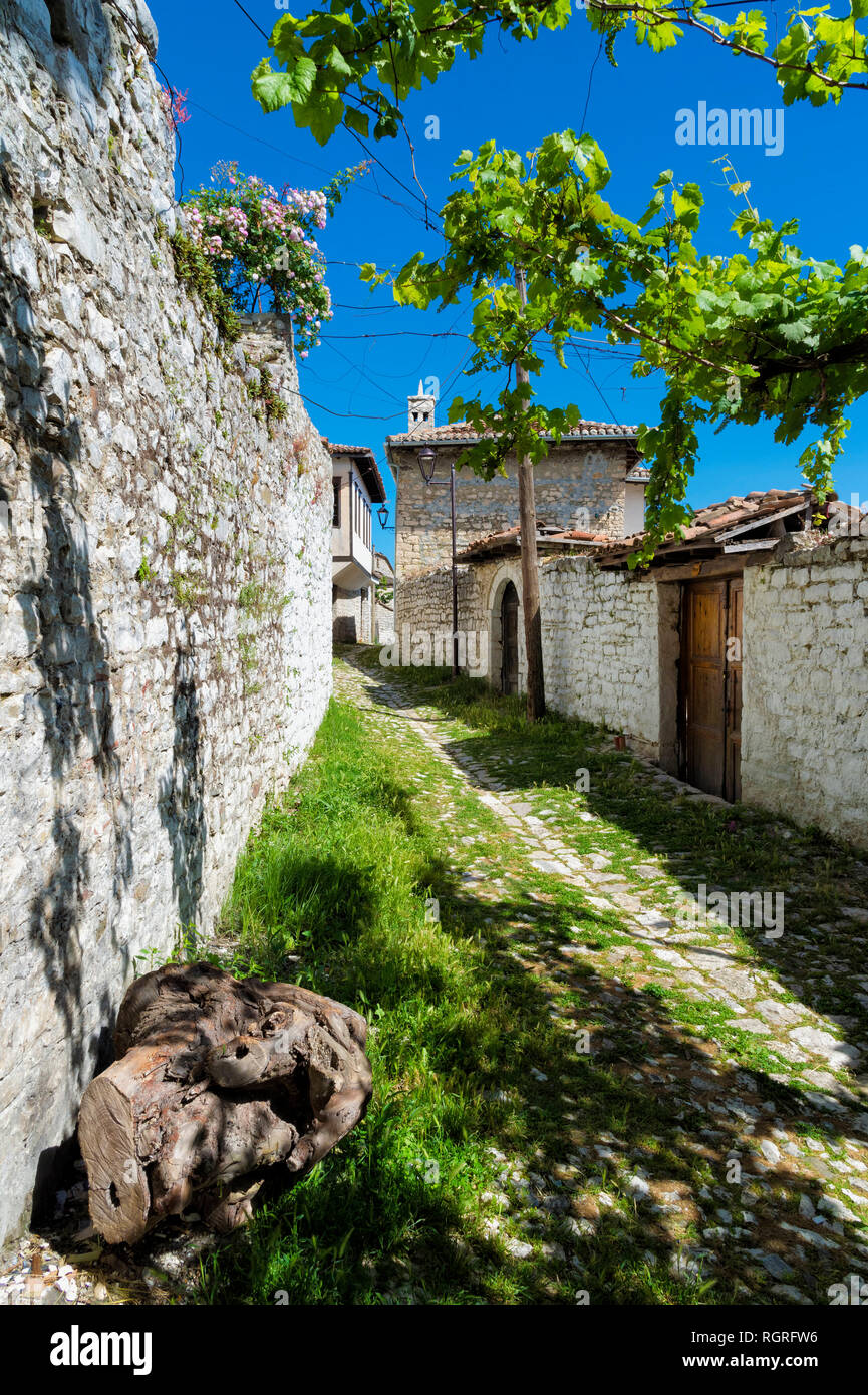 Berat Castello, case di pietra, Berat, Albania Foto Stock