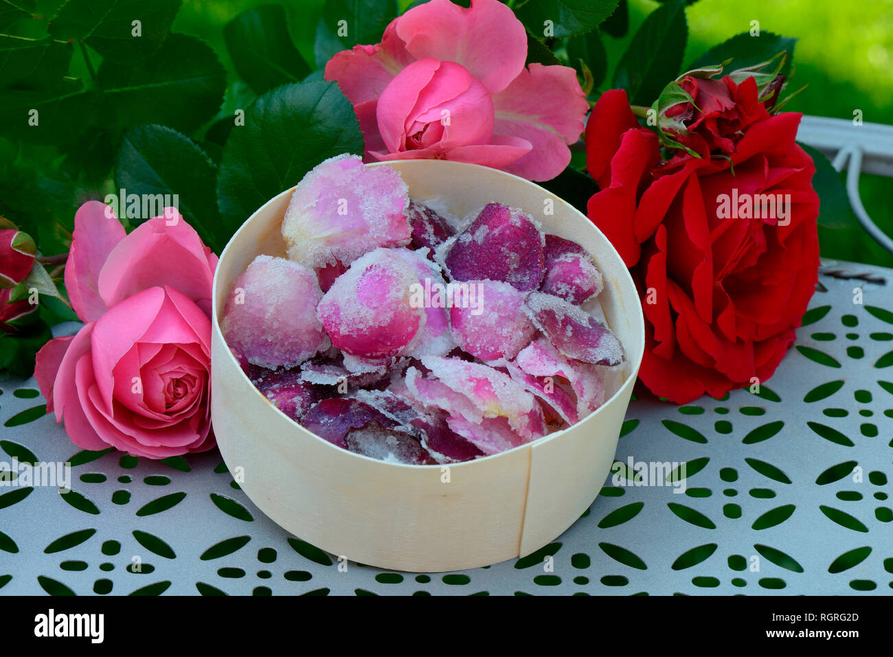 Kandierte Rosenblueten in Schachtel, gezuckert, gezuckerte, Rosenbluetenblaetter Foto Stock