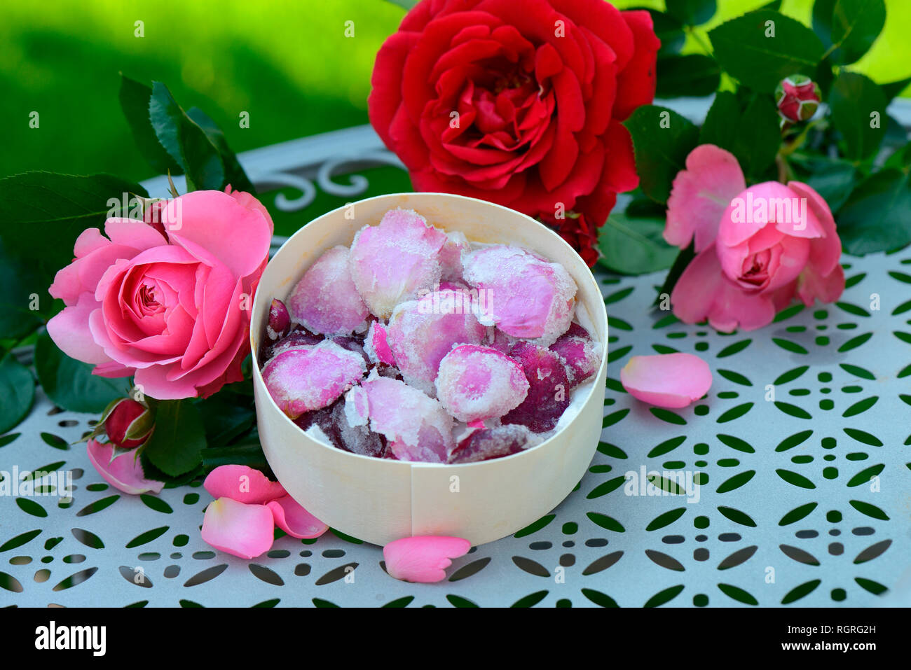 Kandierte Rosenblueten in Schachtel, gezuckert, gezuckerte, Rosenbluetenblaetter Foto Stock
