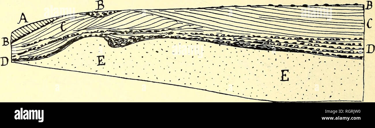 . Bulletin de la SociÃ©tÃ© belge de gÃ©ologie, de palÃ©ontologie et d'hydrologie. Geologia e Paleontologia. 72 A. RUTOT. Â formazione teries installÃ©es sur le versanti nord-est de la colline indiquent l'intÃ©- gralitÃ© de la conservation des limons sur ce versanti. Un 250 mÃ¨tres au sud de la prÃ©cÃ©dente sabliÃ¨re, une autre exploi- tazione du mÃªme genere s'ouvre sur la route de Hornu Ã Wasmes. Cette sabliÃ¨re montre une belle coupe, bien nette, que je reproduis ci-aprÃ¨s (fig. 8) :. Fig. 8. Â Coupe d'une sabliÃ¨re sur la roule de Hornu Ã Wasmes. A. Limon hesbayen 0m,30 B. Gailloutis supÃ©rieur, mos Foto Stock