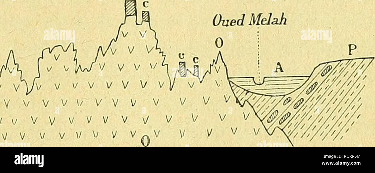 . Bulletin de la SociÃ©tÃ© gÃ©ologique de France. La geologia. A Rang-el-Melah (Hocher de Sel) S 65Â° 0 m OaedMdah. vv'vvVvvvvvv/v vv v /VVvVVvVVVV v v v v v ' v vvvvvÂ"v/vvvâv / l vvx 0. Â Marnes bariolÃ©es argilo-sableuses. gypses et sel gemme. C. â Calcaires gris-bleuÃ¢tre, marnes schisteuses et quarziti Ã Buchiceras quattro- neli sexyboys., Belemnites semicanalicatus Rlainv., Hemiaster Fourneli Desch. c. Â Enclave de lambeaux des Roches crÃ©tacÃ©es C, au milieu des gypses. P. â GrÃ¨s friables Ã grani quartzeux et ciment marneux jaune-rougeÃ¢tre, et poudingues pliocÃ¨nes. A. â Alluvions et cara Foto Stock