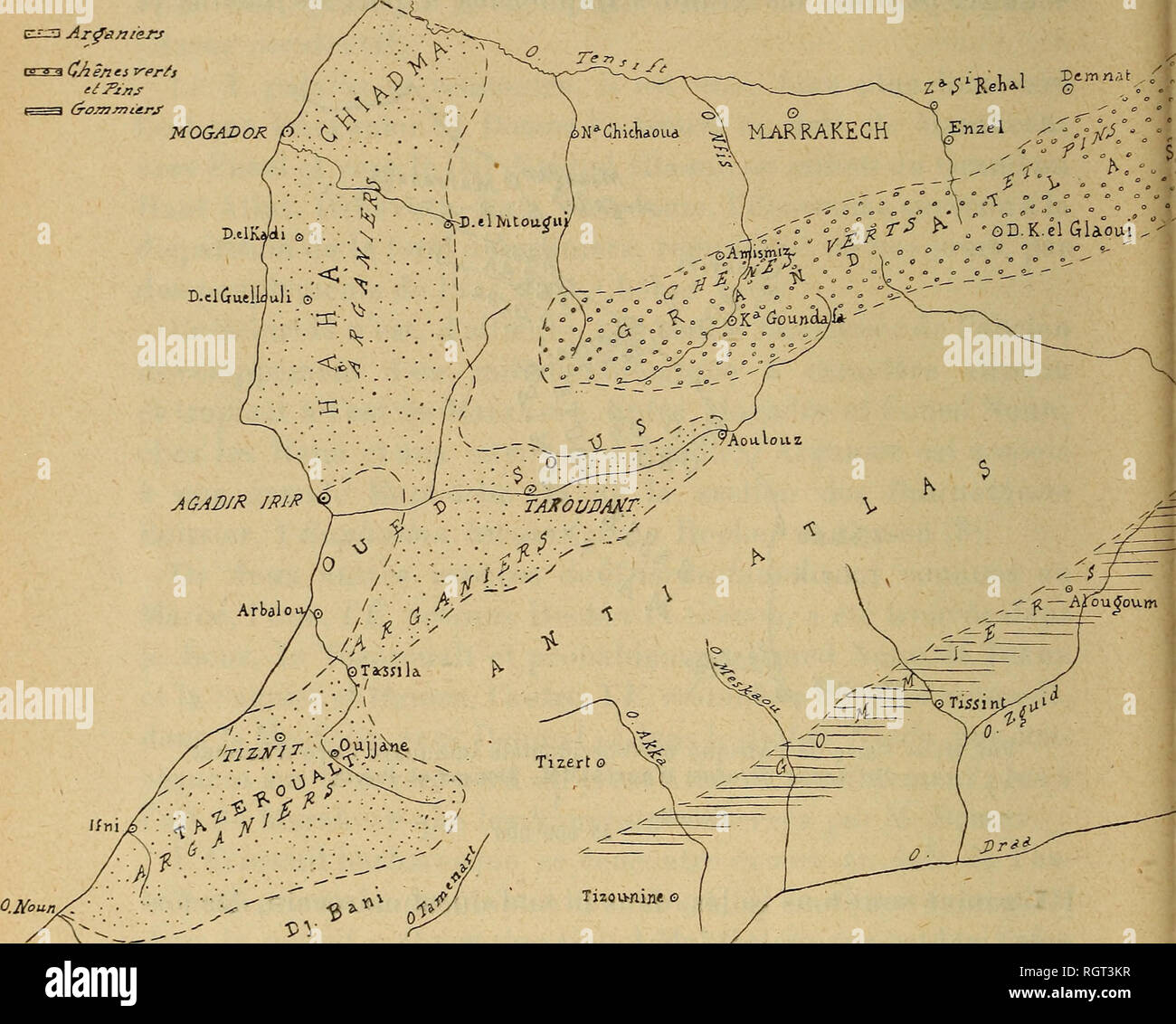 . Bulletin de la SociÃ©tÃ© zoologique de France. Zoologia. 86 SÃANCE DU 14 mai 1918 Ã©loignÃ© gÃ©ographiquement du X. getulus, ne se rencontre qu'à partir de Saint-Louis-du-SÃ©nÃ©gal (1). De grandes Euphorbes voisines de celles du Maroc se rencon- TRENTO, d'une parte, aux canarini, d'autre parte, au SÃ©nÃ©gal, en Abyssinie, dans le sud africain, l'Arabie et l'inde. Â¢J=3 ArfÃ¢/iterj. Fig. 2. Â Carte du Maroc sud-occidental indiquant l'estensione des forÃªts d'Arganiers, de Gommiers, ecc, d'aprÃ¨s MM. Louis gentil et de Foucaulu. 1 Echelle 3.000.000 L/Arganier un Ã©tÃ© rapprochÃ© de vÃ©gÃ©taux de l' Foto Stock