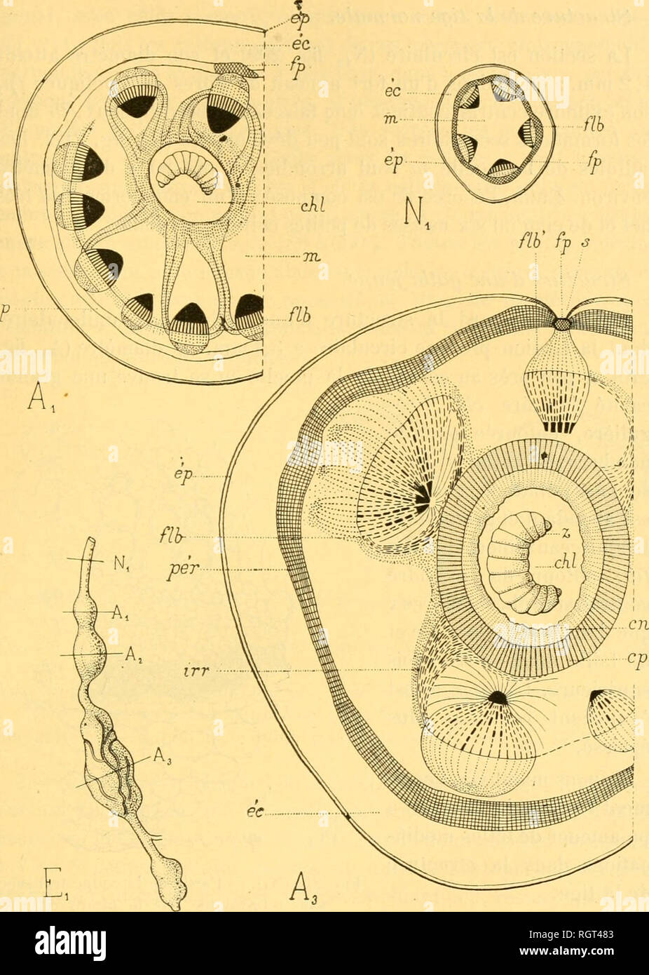 210 200 A C Immagini e Fotos Stock - Alamy