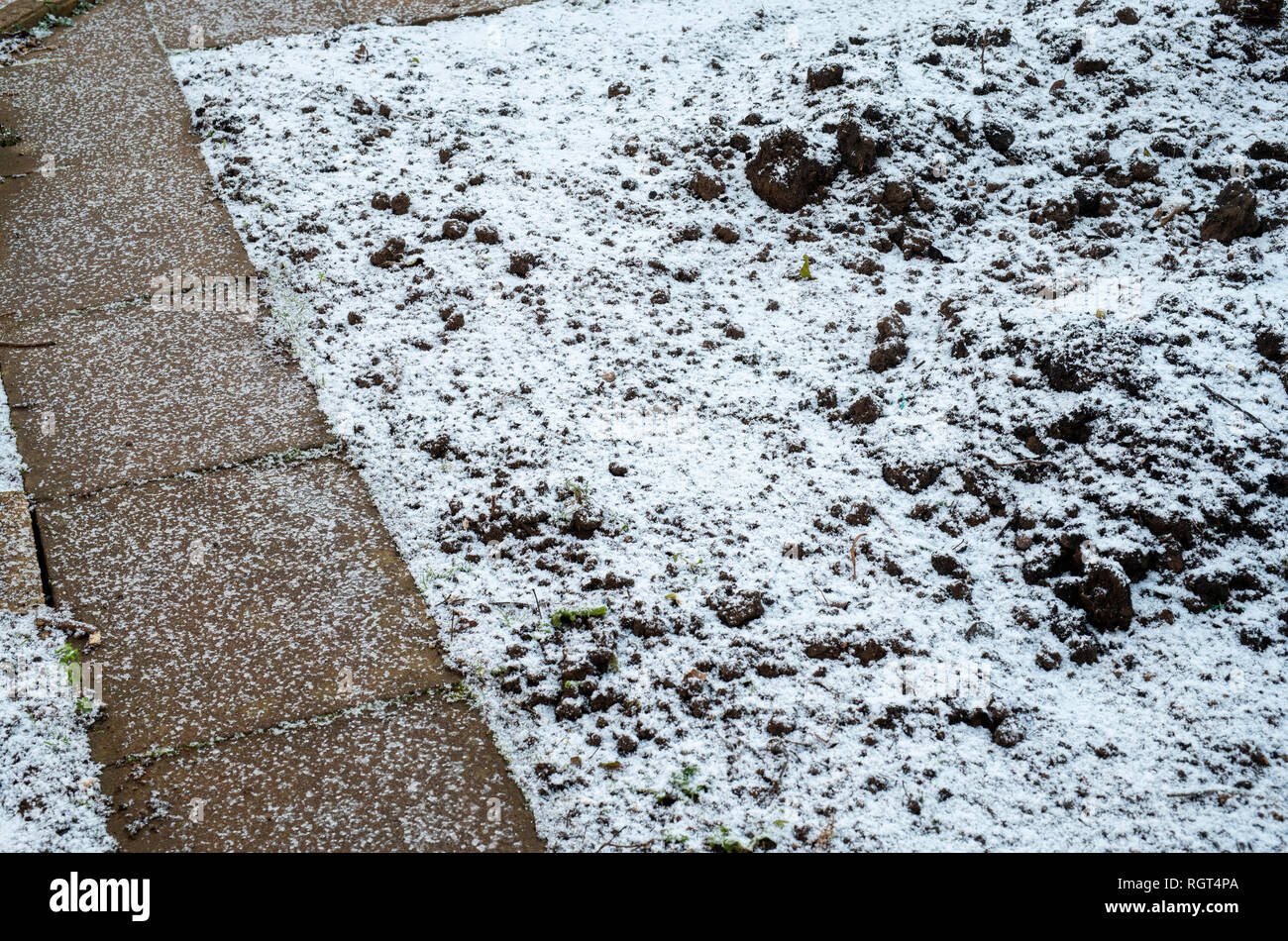 Luce neve a copertura di un orto e il percorso. Regno Unito Foto Stock